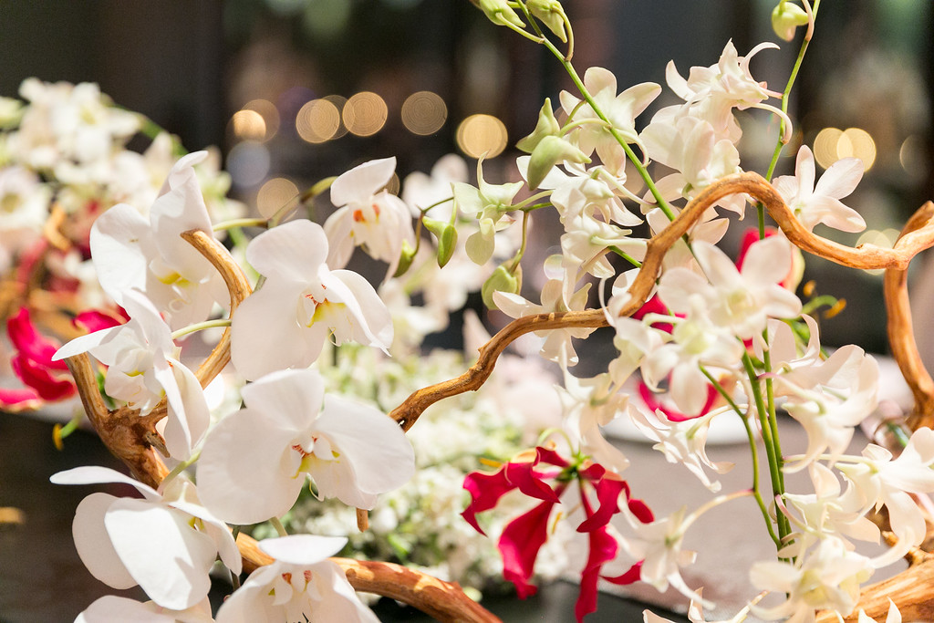 Fabricio González. Wedding & Event Planner